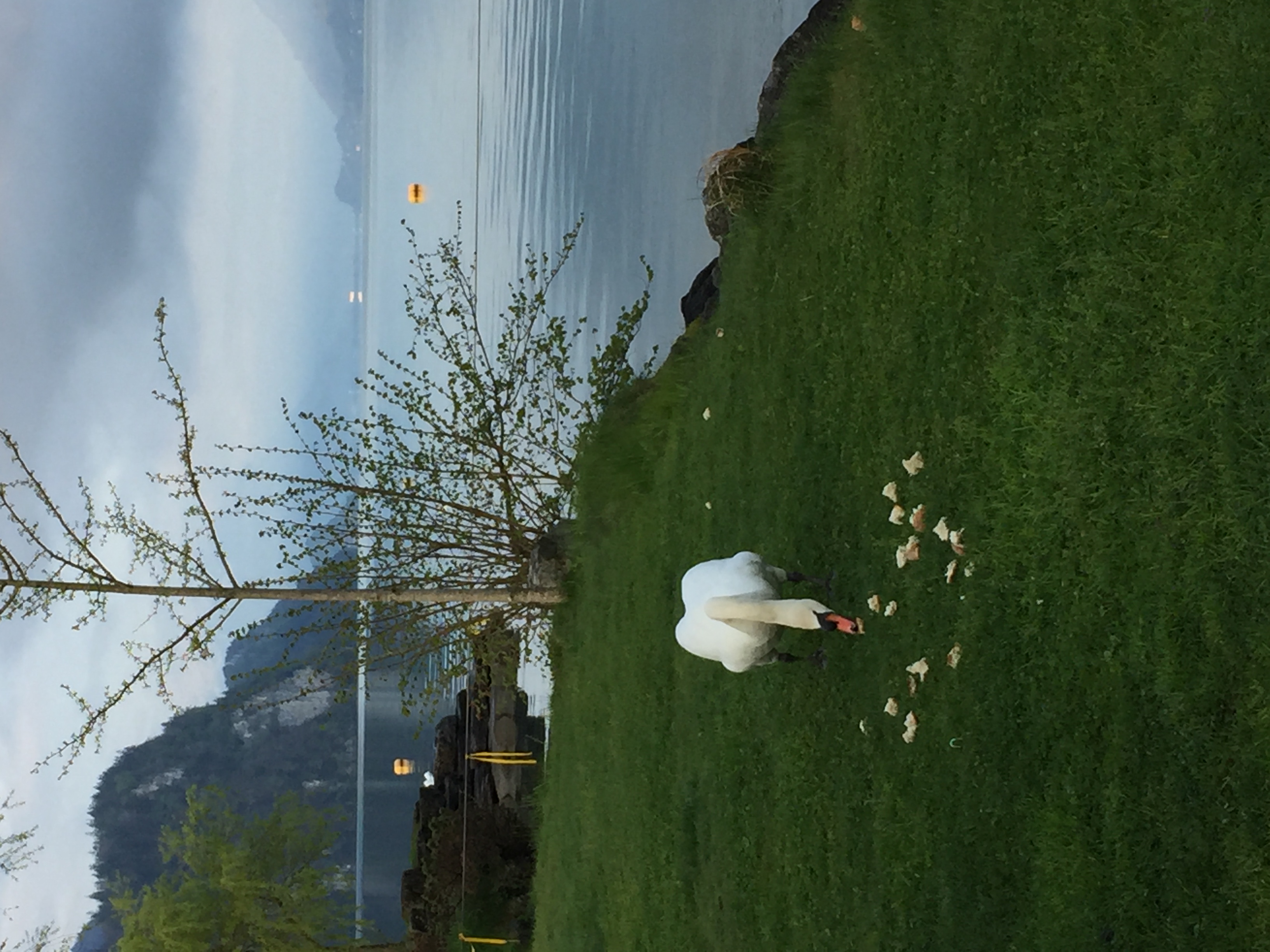 Aaregg Brienz