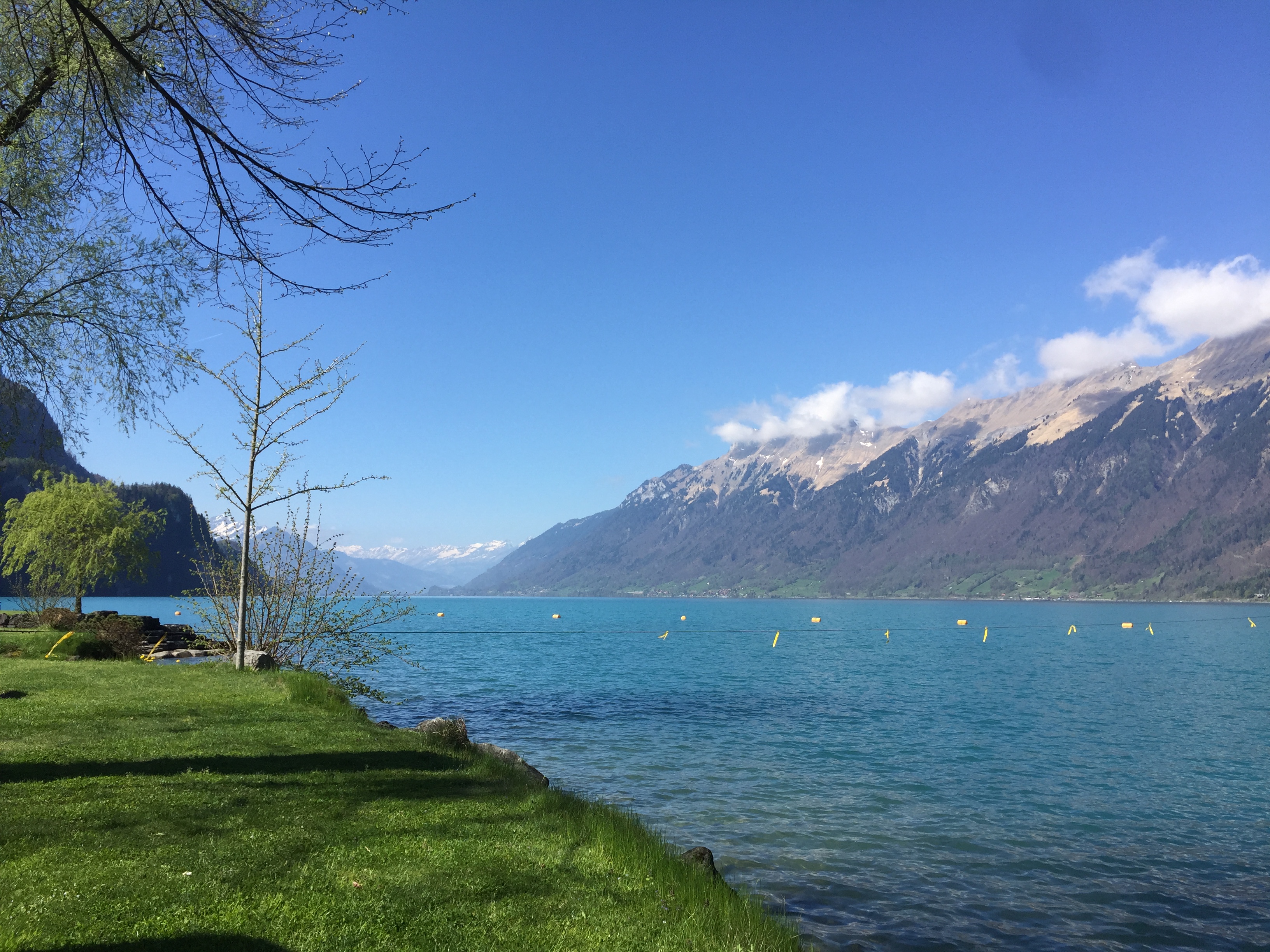 Camping Aaregg, Brienz
