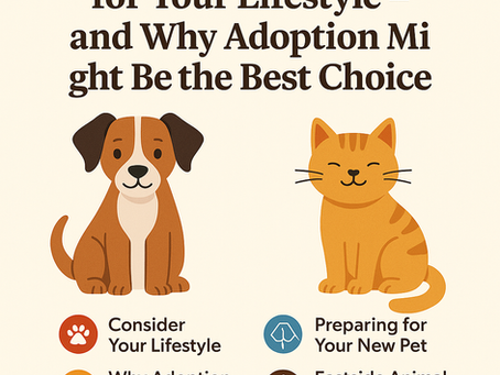 Choosing the Right Pet for Your Lifestyle – and Why Adoption Might Be the Best Choice