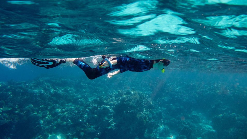 Responsible Marine Wildlife Viewing Guidelines South Pacific Islands
