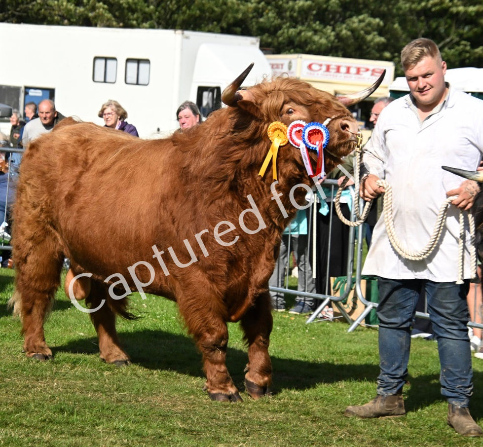 z%kKOUOSTsCvXpQ2%DR8Tw_thumb_dd7b