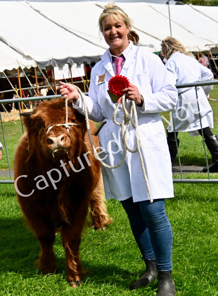 KXmY+PxmQZiubCYMVhBZXA_thumb_dc18