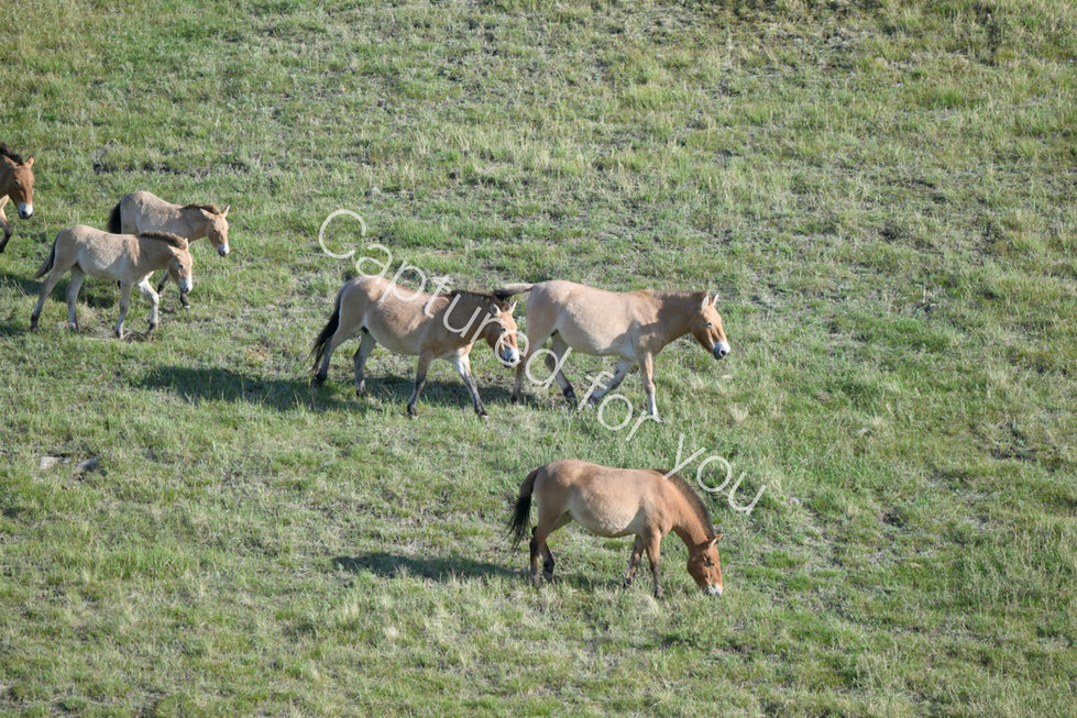 7D42C56C-736A-4B68-AB6A-1DCC966C656E_1_201_a