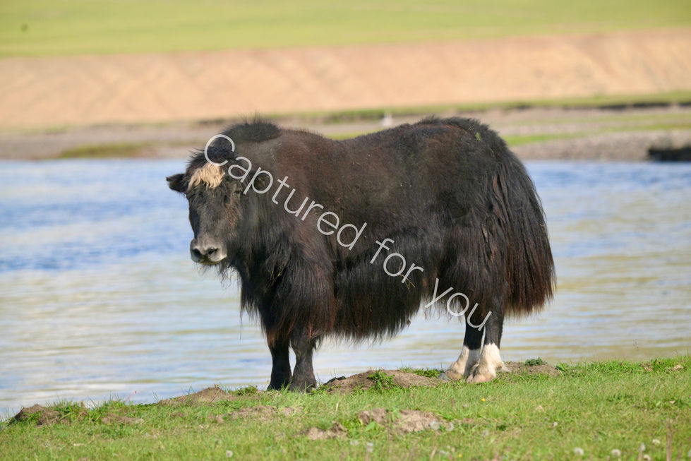 06E55787-8242-4710-B4F1-8B8FB4ED25C1_1_201_a