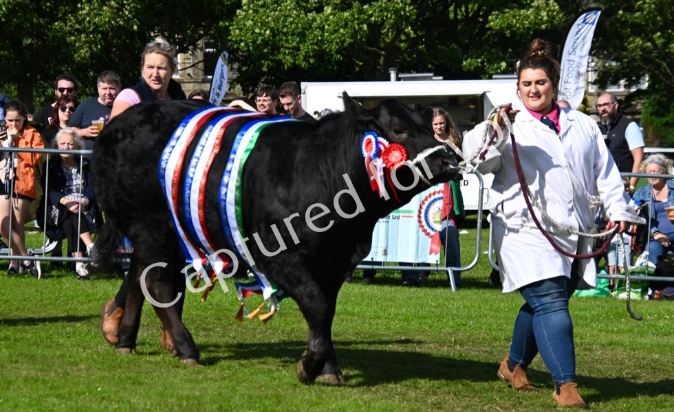 h9uweYivTb+WXn8Pxjg3ew_thumb_dd67