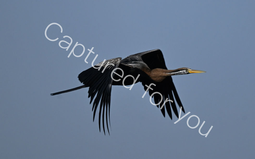 BE528076-83ED-40C7-8EC6-72B2674E9EBF