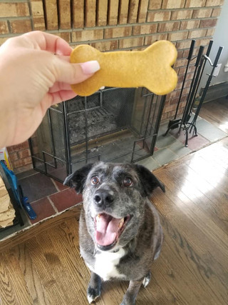 canine cookies