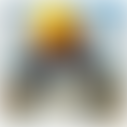 Segurança do Trabalho e Ergonomia no Assentamento de Pedras: Orientações para Construtoras Minimizarem Riscos no Canteiro.