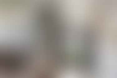 A Expressão da Natureza: Explorando Veios Marcantes e Movimento Orgânico em Mármores e Quartzitos