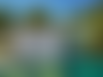 Sustentabilidade na Arquitetura: Por Que a Pedra Natural é a Escolha Mais Ecológica para o Seu Projeto