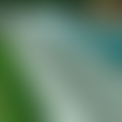 Pedra Hijau: O Segredo da Cor Esmeralda em Piscinas e a Resistência à Água Salgada