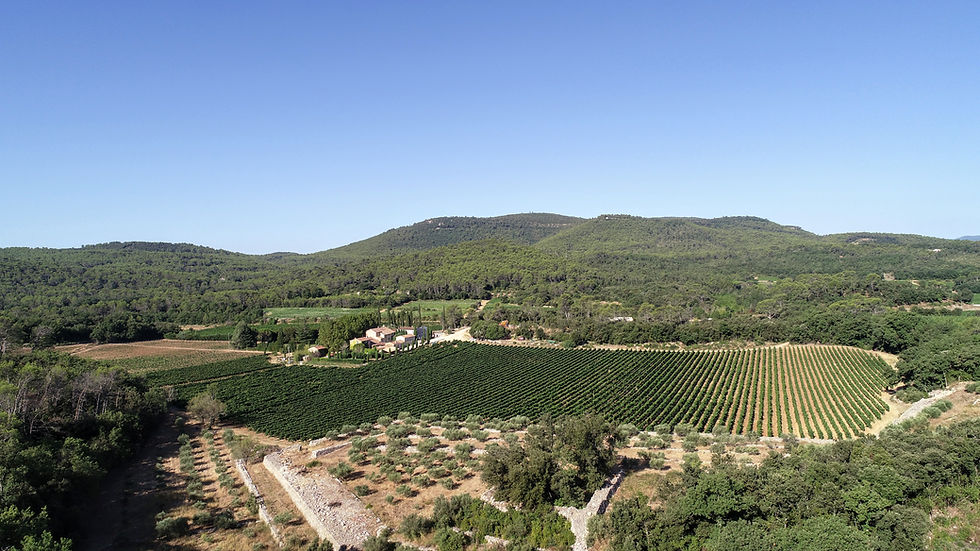 DJI_0034.JPG