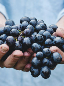 5 Best Wine Marketing Campaigns To Target Millennials