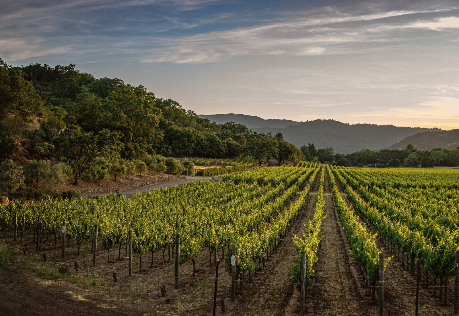 Wineries