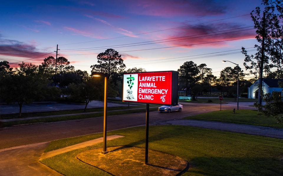 Home Lafayette Animal Emergency Clinic