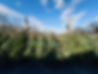 IMG_1821 2.jpeg