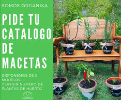 Beverage Mug and a Laptop