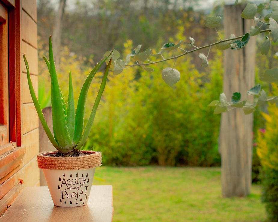 WhatsApp Image 2020-07-20 at 14.42.26.jp