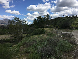 IMG_4174.jpeg