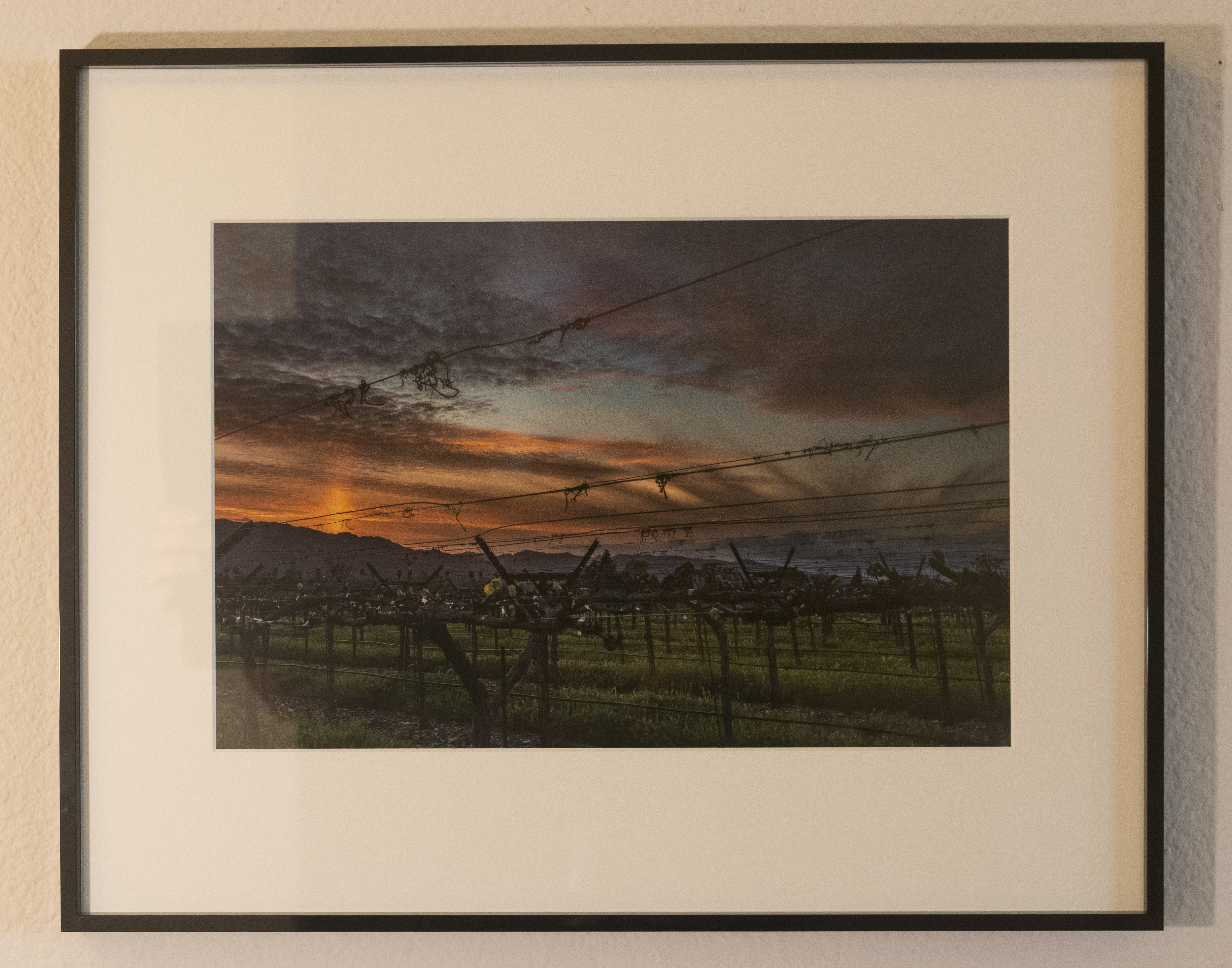 Rutherford Sunset #1