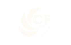 Logo monochrome à une seule couleur.png