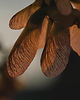 AdobeStock_779581860.jpeg