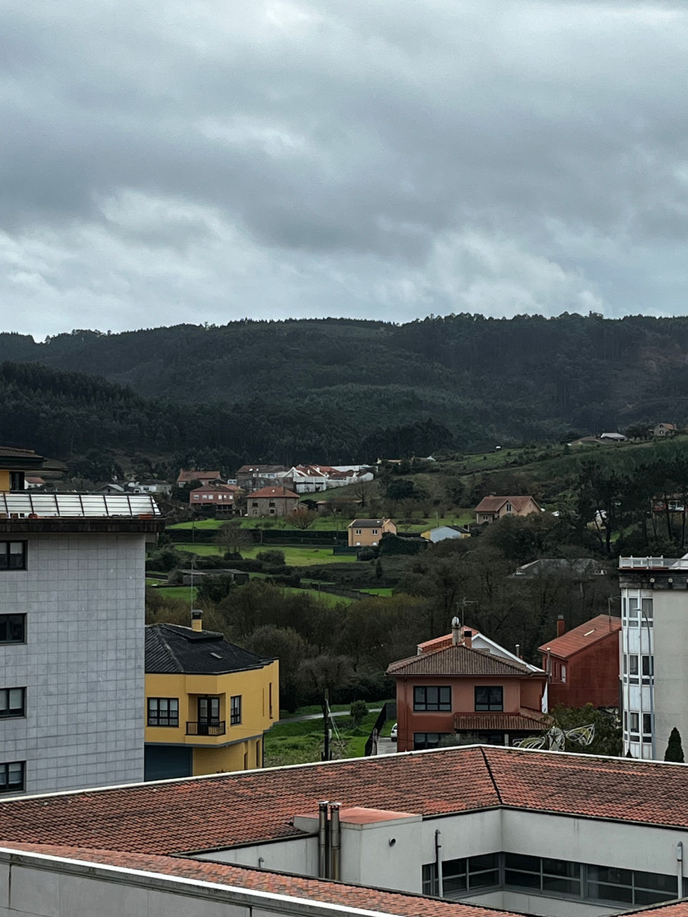 The view from my living room