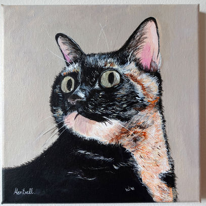 Brasa's portrait