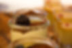 Panettone Panettoni Tiramisu