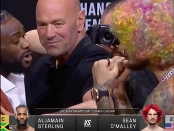 Aljamain Sterling et Sean O'Malley se font face avant l'UFC 292