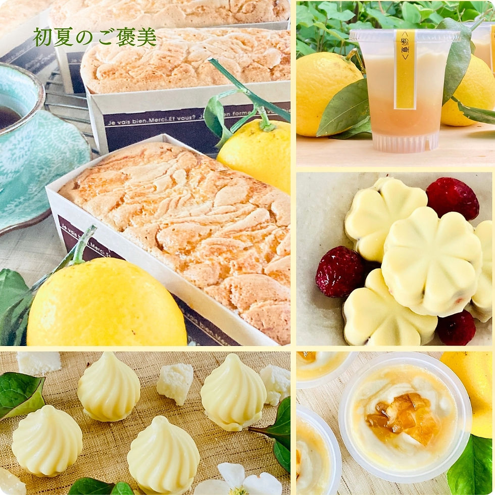 初夏の午後のご褒美セット｜無添加スイーツ4種で楽しむ軽やかなひととき
