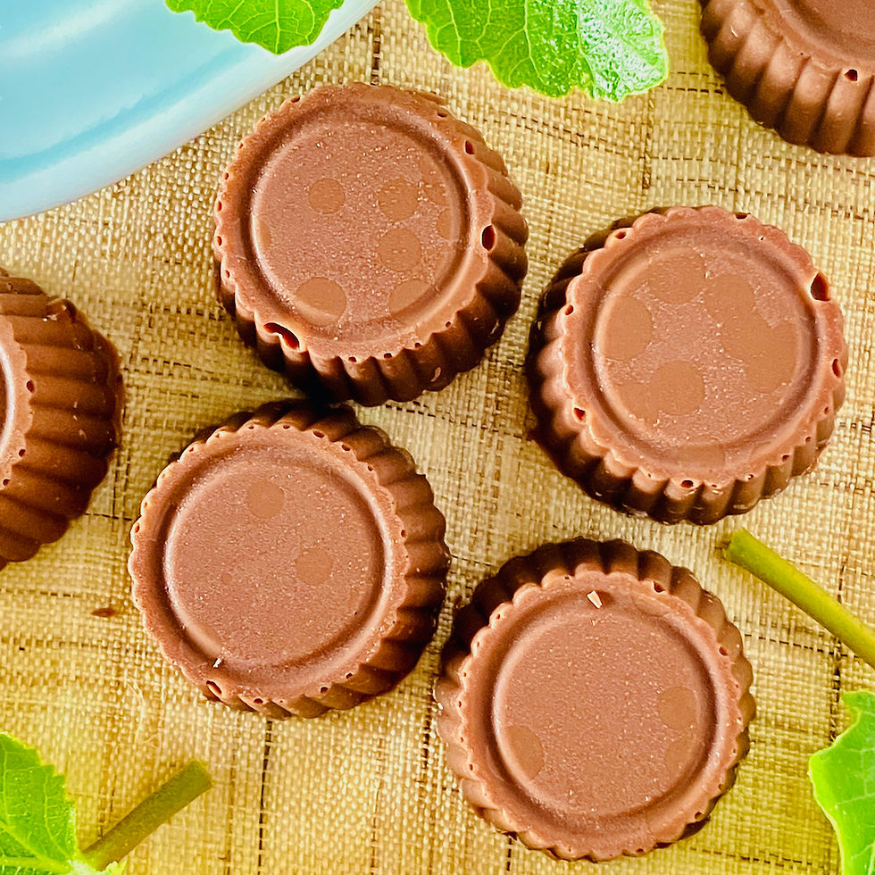 サムネイル： オーガニックミニミルクチョコ　イチジク