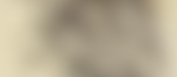 Tupelo autumn and Eucalypt