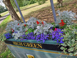 High Green in Bloom