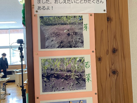 紅花学習1年間を振り返ろう