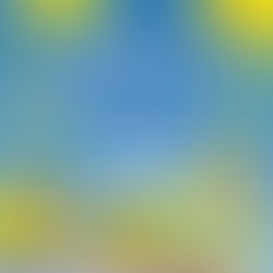 最上川源流よねざわ紅花まつりを開催します。7/1㈬～7/31㈮