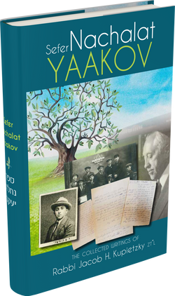 nachalat yaakov 3D new