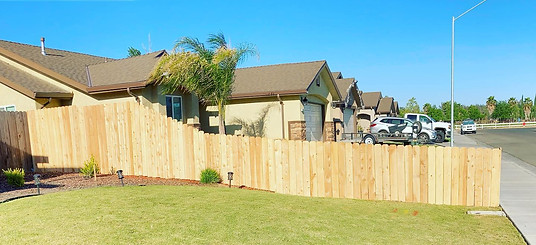 New fence