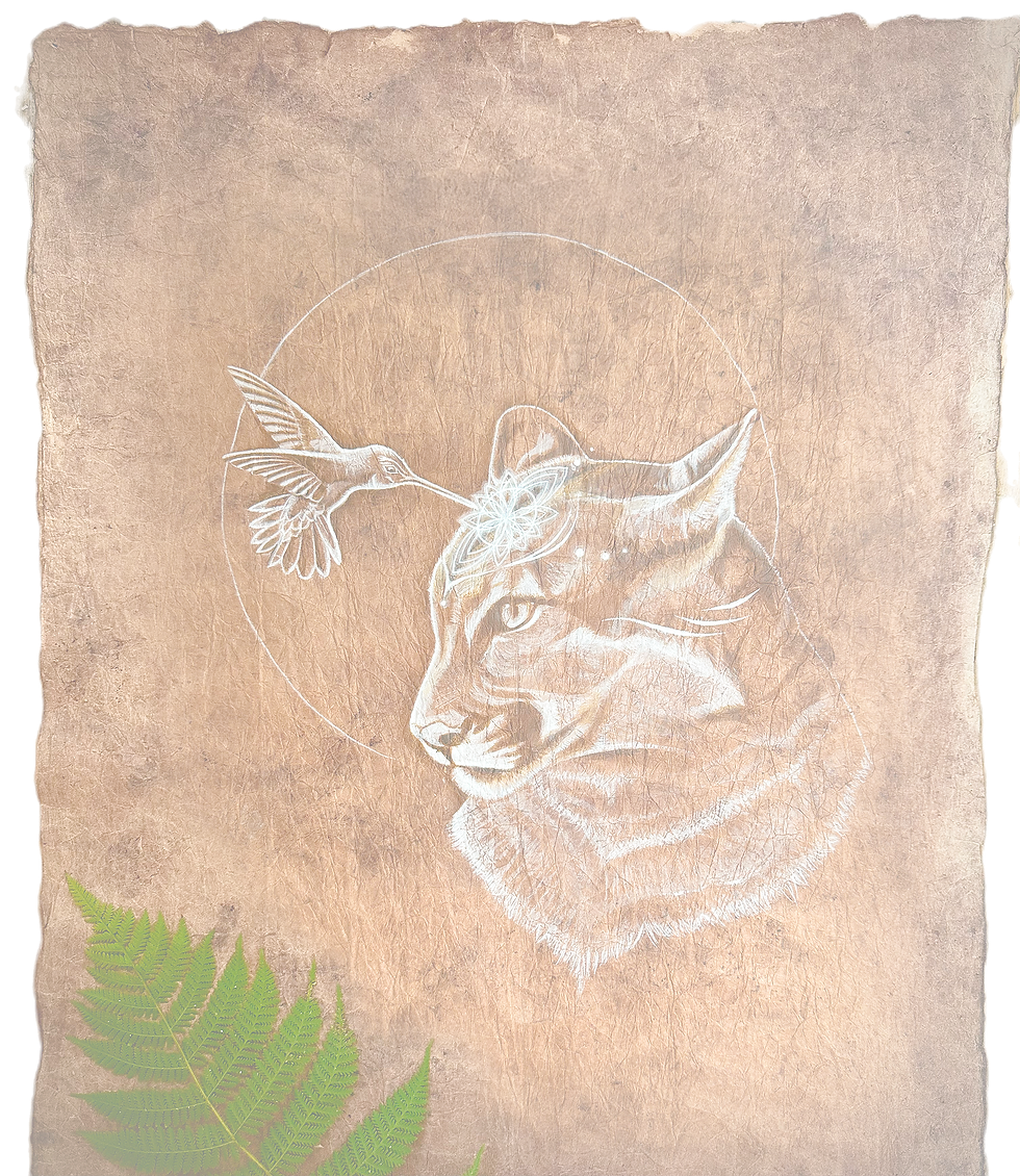 IMG_4277.png