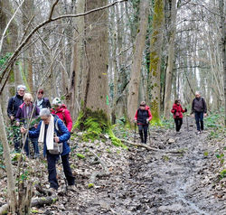 2026 02 22 Verrières