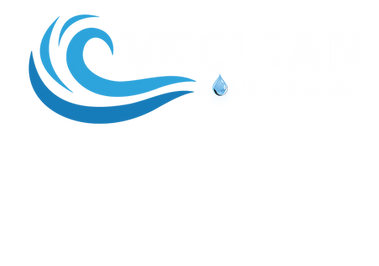 White PNG.png