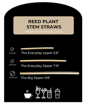 Copy of STALK STRAWS WEBSITE (8.5 x 11 in) (5).png
