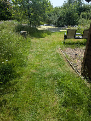 Lawn mowing, garden care, garden management