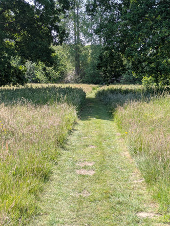 Lawncare, Grass cutting, garden management