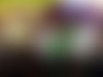 CeDiAl sarà sponsor ufficiale della nona edizione del Fastuca Fest