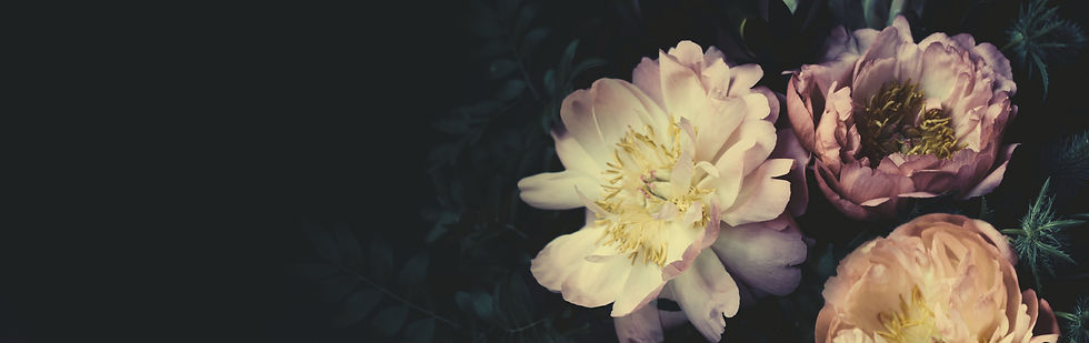 AdobeStock_273354364.jpeg