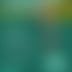 Upcoming Parenting Course | Foundations of Wholeness Parenting