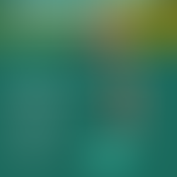 Foundations of Wholeness // Parenting Class