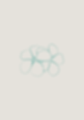 flor ok-01.png