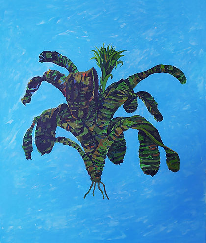 Catalogo A-2020-acrilico su tela-cm60x50
